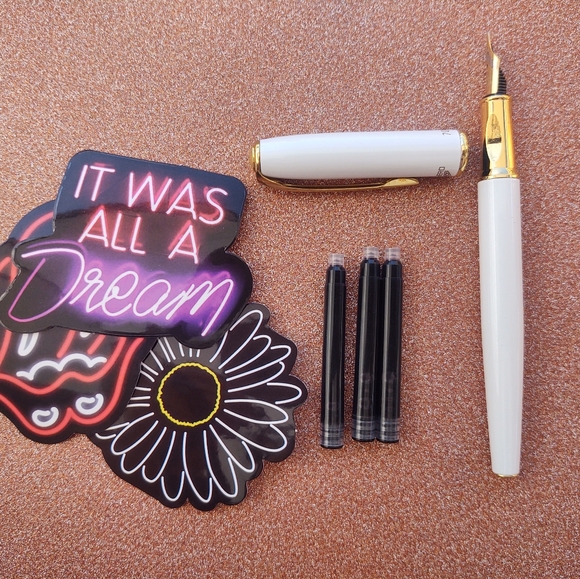 Fountain Pen - Picture 1 of 12